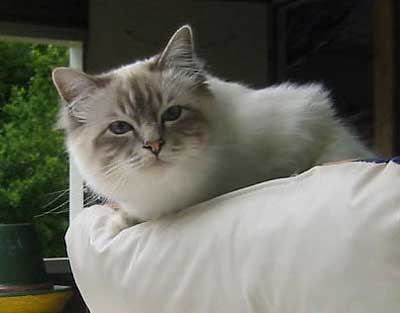 Claudius