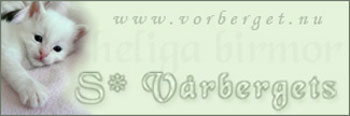 Vrbergets Birma