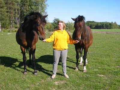 Fantasi Bean och Larant